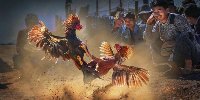 Tổng hợp các hình thức cơ bản nhất